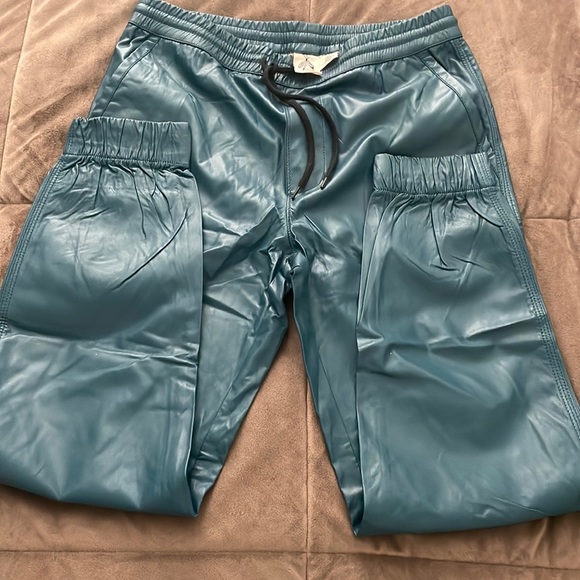 Urban Outfitters Pants Mens Faux Leather Pants Blueish
